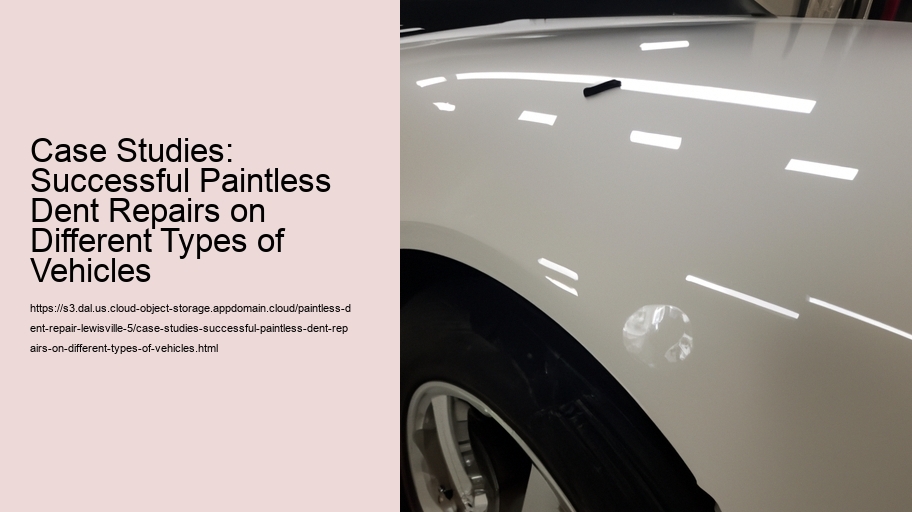 Case Studies: Successful Paintless Dent Repairs on Different Types of Vehicles  